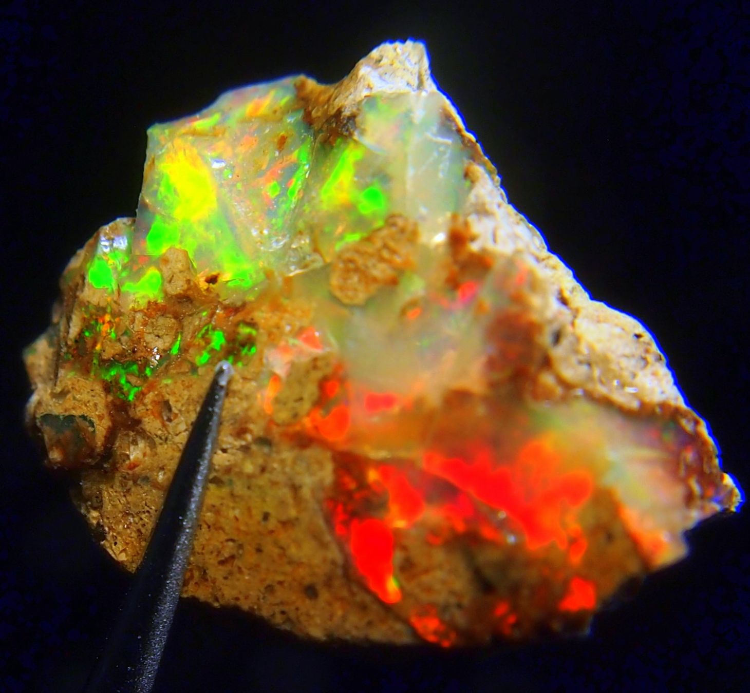 Pietre preziose: 39 ct. Top-funkelnder WELO-Feueropal roh – Nuovo e nell'imballaggio originale da Reinach BL venduto da Marblue 1