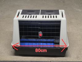 Caisse transports chien. 