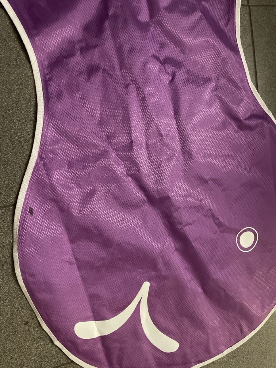 Salvagente: Wickelfisch/Schwimmsack – Usato da Frick venduto da Cooper_9 2