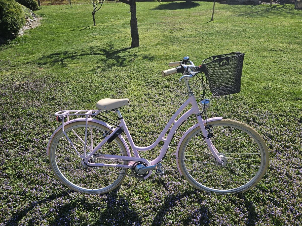 Cresta Biciclette: Vélo Cresta Boulevard rose, avec panier et accessoires – Nuovo (secondo la descrizione) da Martigny venduto da ctr200 6