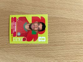 MAR 9 - Adam Masina - Panini WM 26