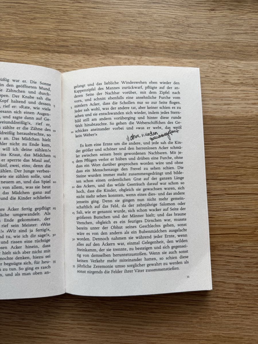 Libri: Romeo und Julia auf dem Dorfe – Usato da Tagelswangen venduto da Isa036 3