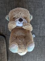 Doudou Loutre dormante
