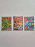 First Partner Serie3 DE Hoenn-Starter-Set