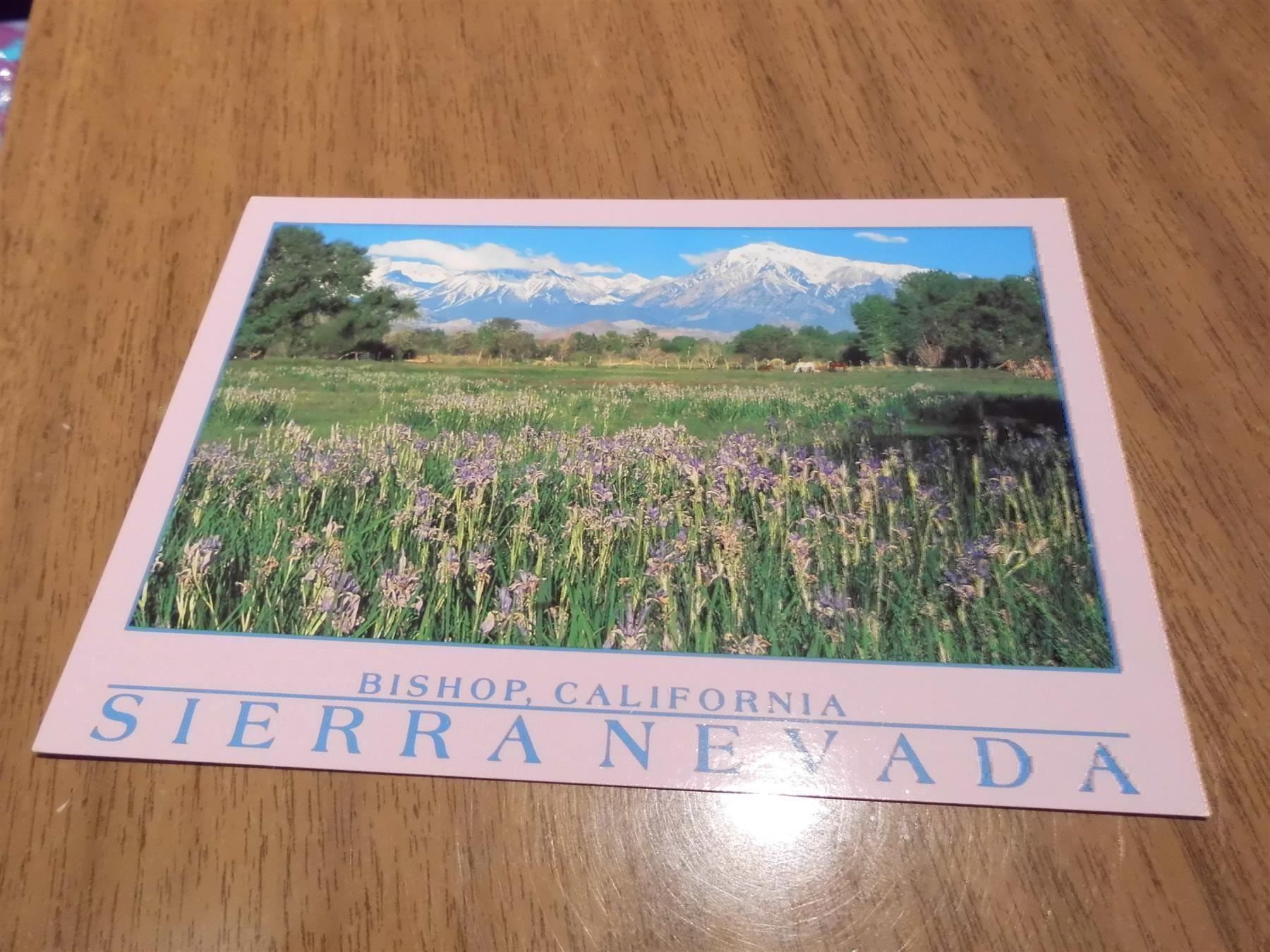 Cartoline postali: Ansichtskarte Bishop, California, Sierra – Usato da Zürich venduto da Motzkuh