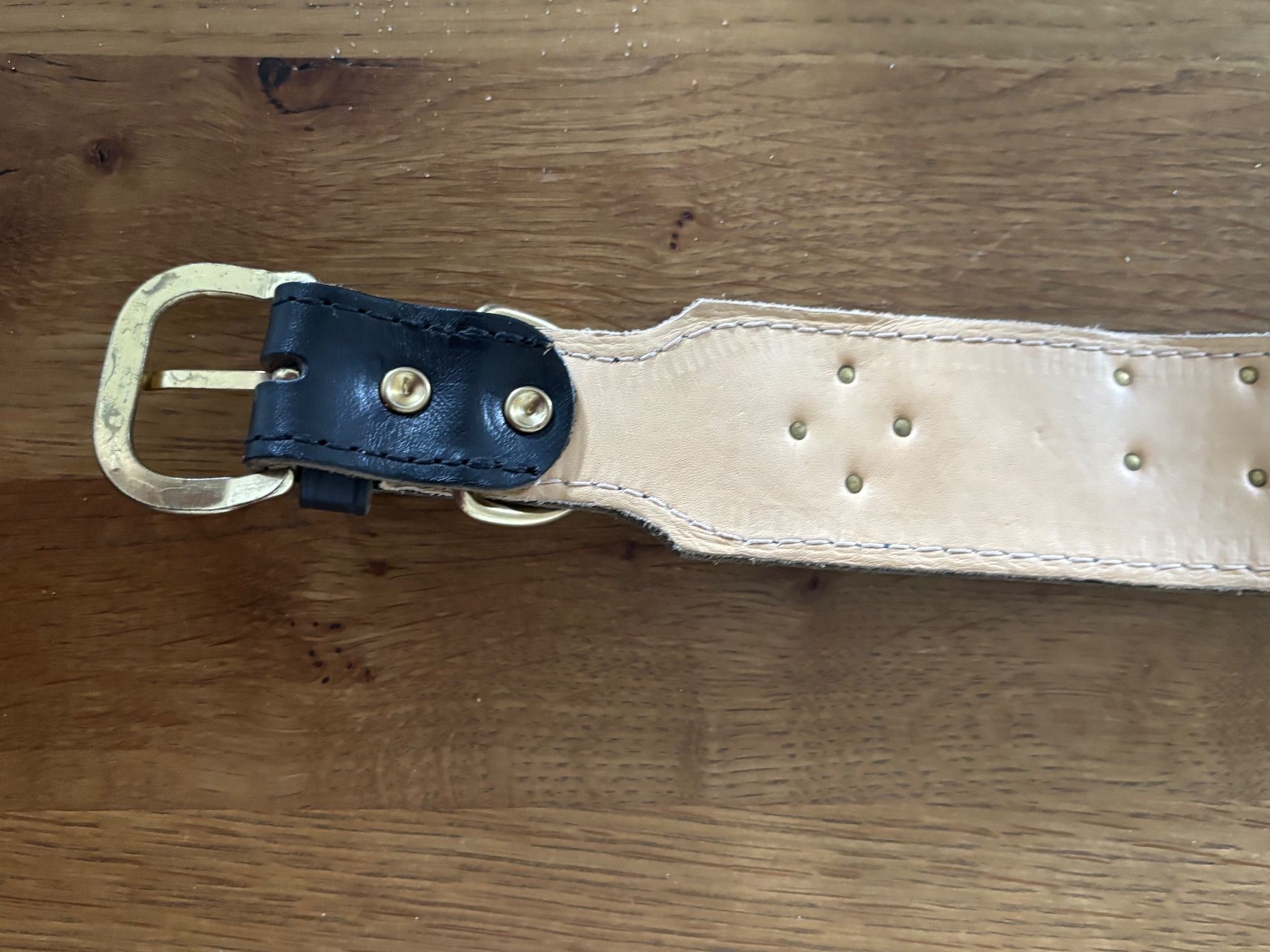 Leine & Halsband: Hundehalsband Appenzeller, 70 – Gebraucht aus Guntershausen von Herbie8357 5