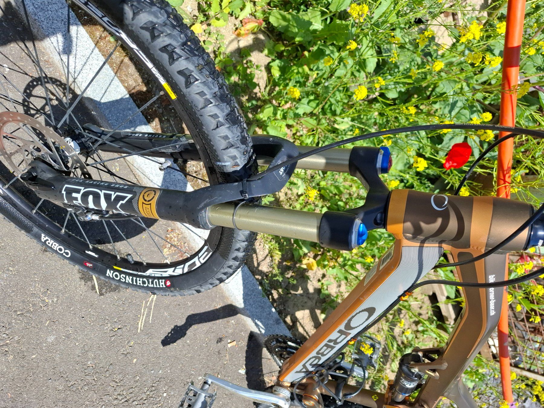 Orbea Biciclette: Orbea Occam Velo, top Zustand.. – Usato da Baar venduto da Djordjo 6