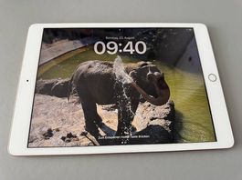 iPad (7.Generation)