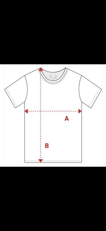 Puma Maillots de corps & Pantalons: Puma EURO 2024 Serbien Trikot Grösse L – Neuf (Voir description) à St. Gallen par CaliSunshine 9