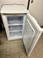 Tiefkühler Prima Vista 60l