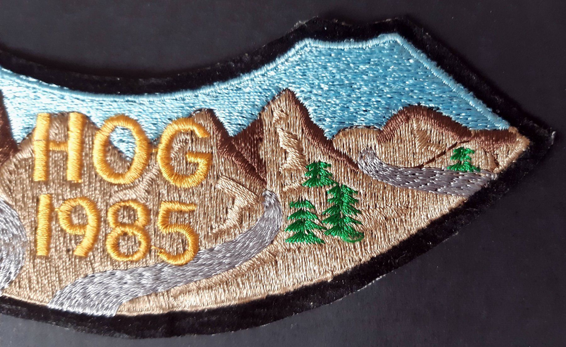 Harley-Davidson Patches: 1985 HARLEY PATCH HOG OWNERS GROUP BIKER – Neu (gemäss Beschreibung) aus Lugano von YouWantUS 2