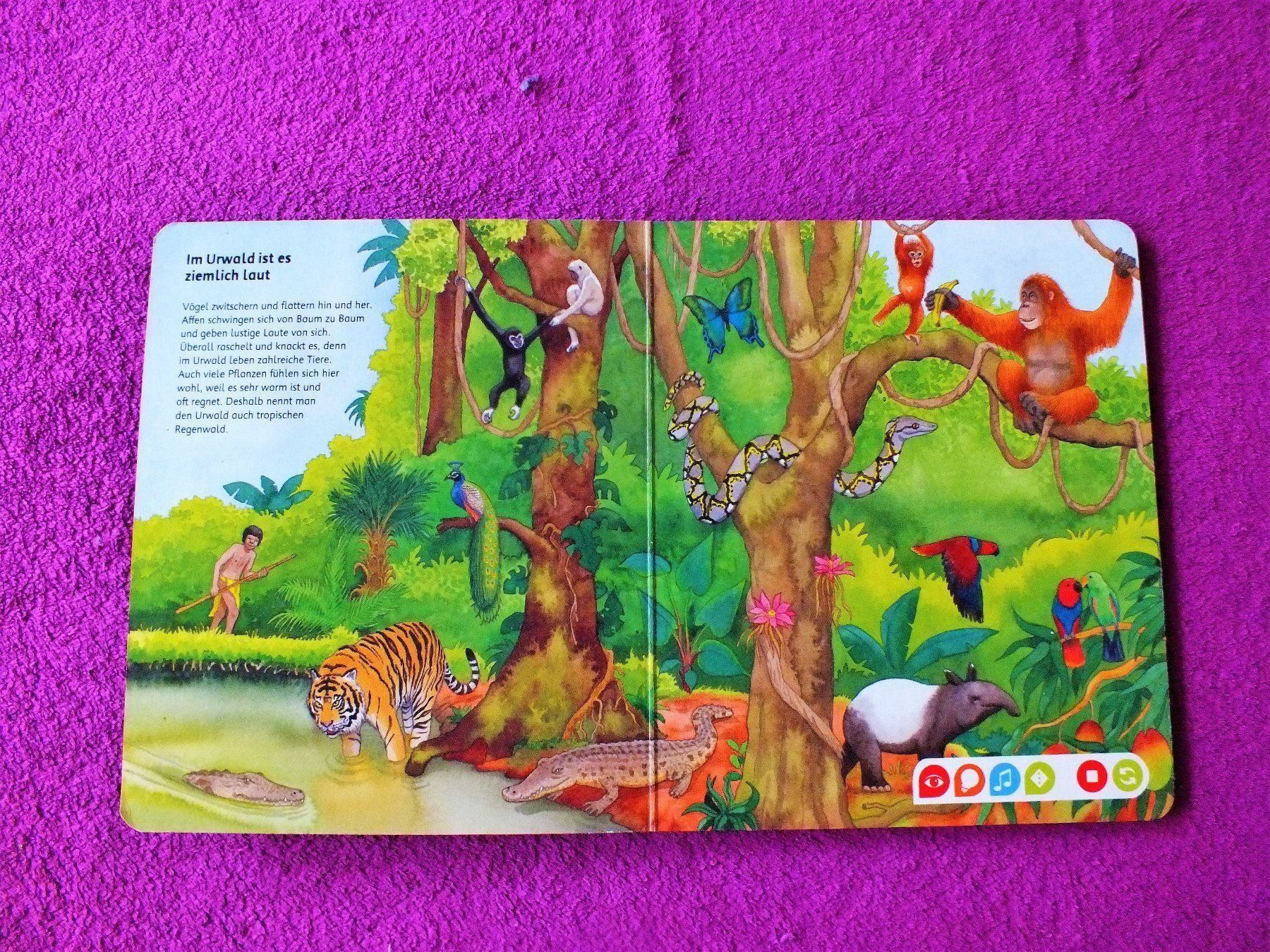 Ravensburger Spiele: tiptoi Globus + Bilderlexikon Tiere – Gebraucht aus Müllheim Dorf von Seeeule01 8