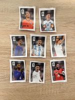 8 WM 26 Panini Cola Sticker