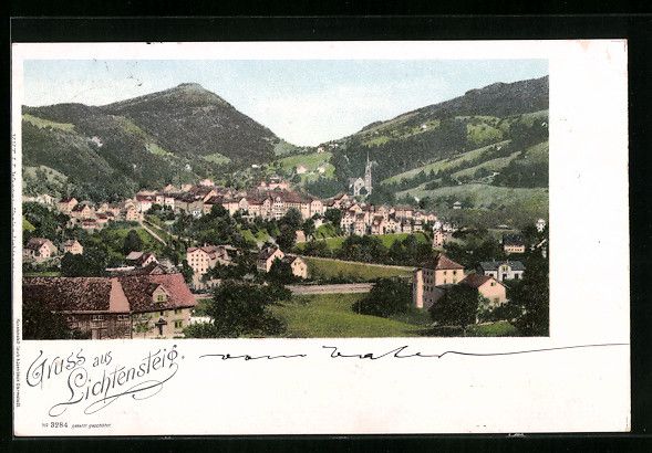 Cartoline postali: Lichtensteig, Ortsansicht mit Berg aus d – Usato da Berlin venduto da bartko-reher