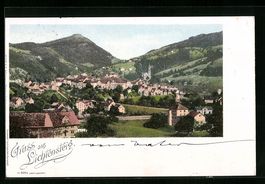 Lichtensteig, Ortsansicht mit Berg aus d