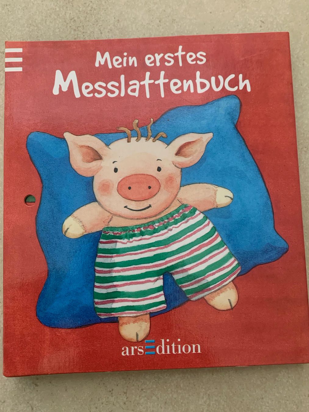 Libri: MEIN ERSTES MESSLATTENBÜCHLEIN – Nuovo (secondo la descrizione) da Brugg AG venduto da olamim