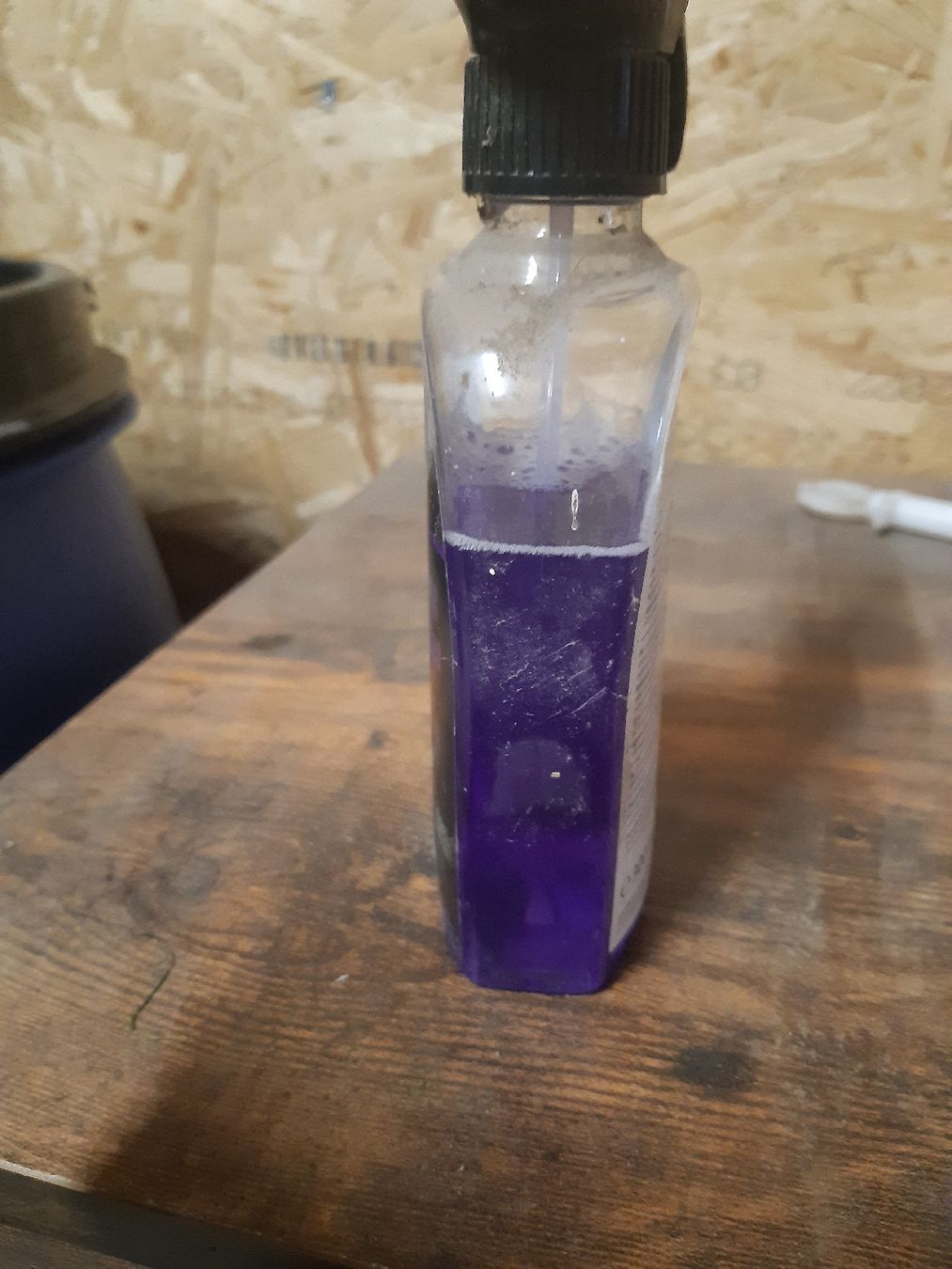 Prodotti per la cura & articoli per la pulizia: putzspray für schimmel – Usato da Nebikon venduto da Haidihooo 2