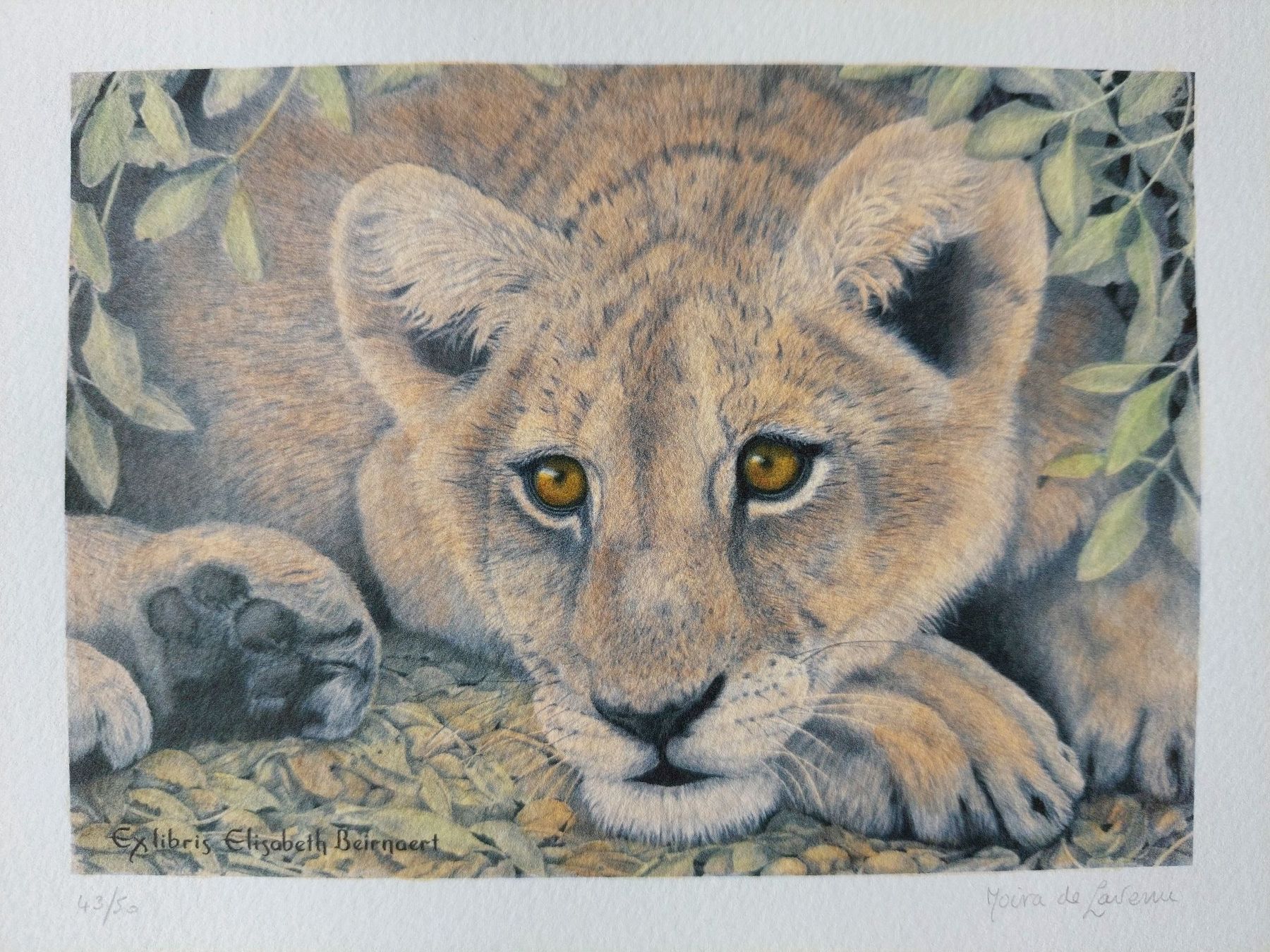 Poster & Bilder: Exlibris Moira de Lavenu - Computergrafik CGD signiert – Gebraucht aus Obfelden von Exlibris-Art