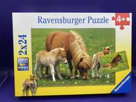 Ravensburger Puzzle 2x24 Teile Ponys gebraucht guter Zustand