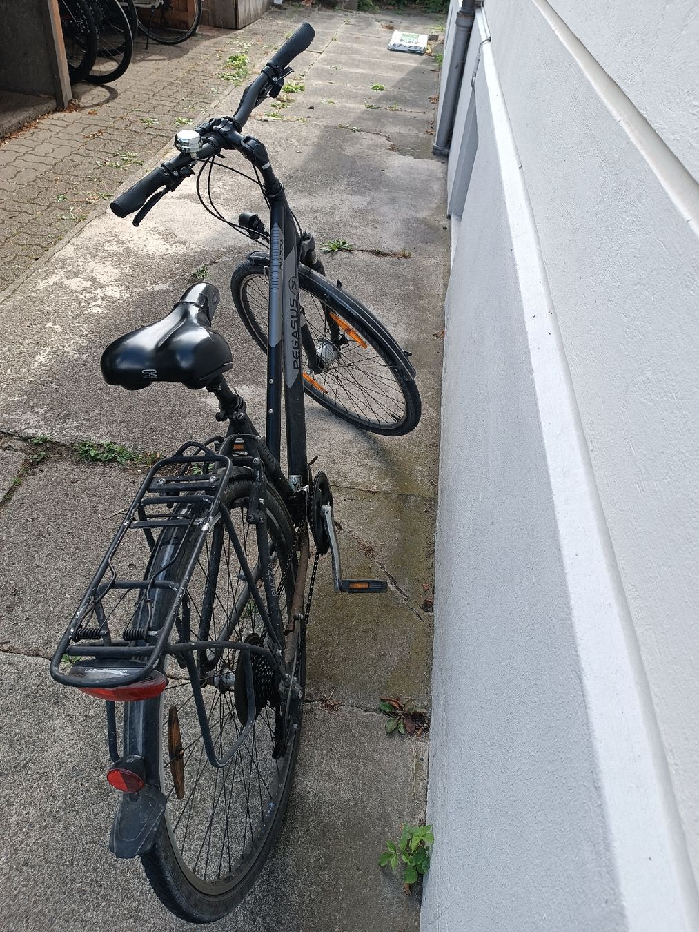 Biciclette: Pegasus Piazza Trekkingrad schwarz – Usato da Winterthur venduto da lai_6wq8 2