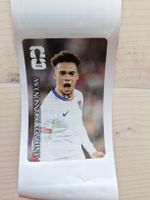 Panini Coca-Cola Sticker 2026 USA 🇺🇸 Antonee Robinson 