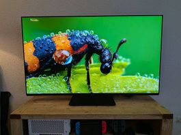Panasonic OLED 4K TV 55 Zoll (TX-55LZC984)