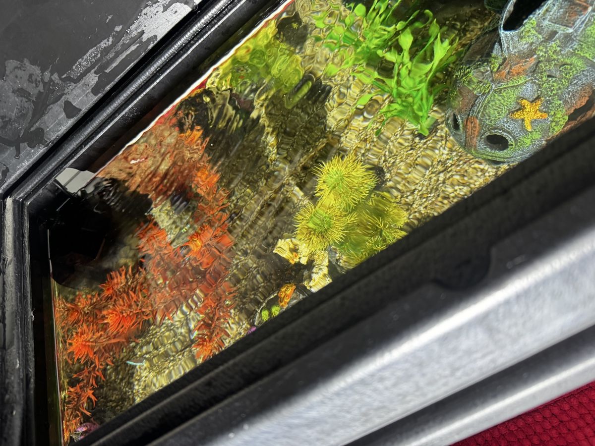 Acquari: Aquarium 60X30X30 54Liter – Difettoso da Basel venduto da bau_6tk8 4