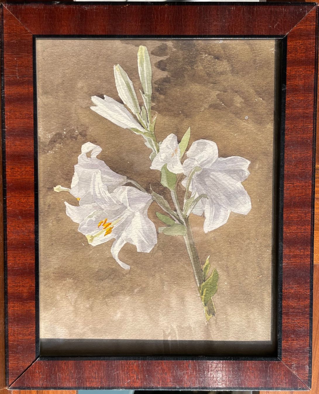 Dipinti: Lis blancs aquarelle anonyme – Usato da Biel/Bienne venduto da Galaq 3