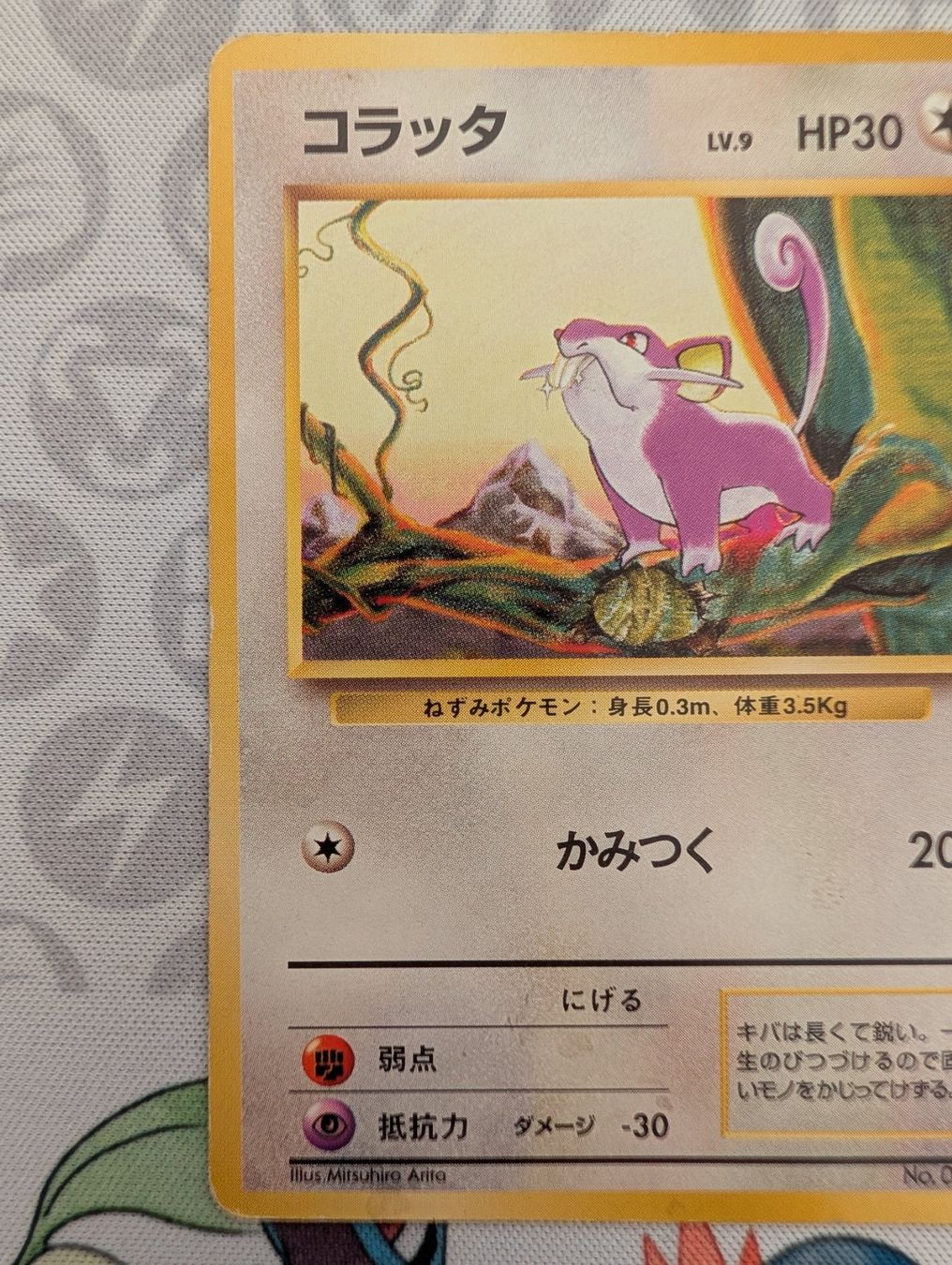 Pokémon Sammelbilder & Trading cards: Pokémon JP Rattata Set de base (1996) Wizard – Gebraucht aus Thônex von Janadel 2