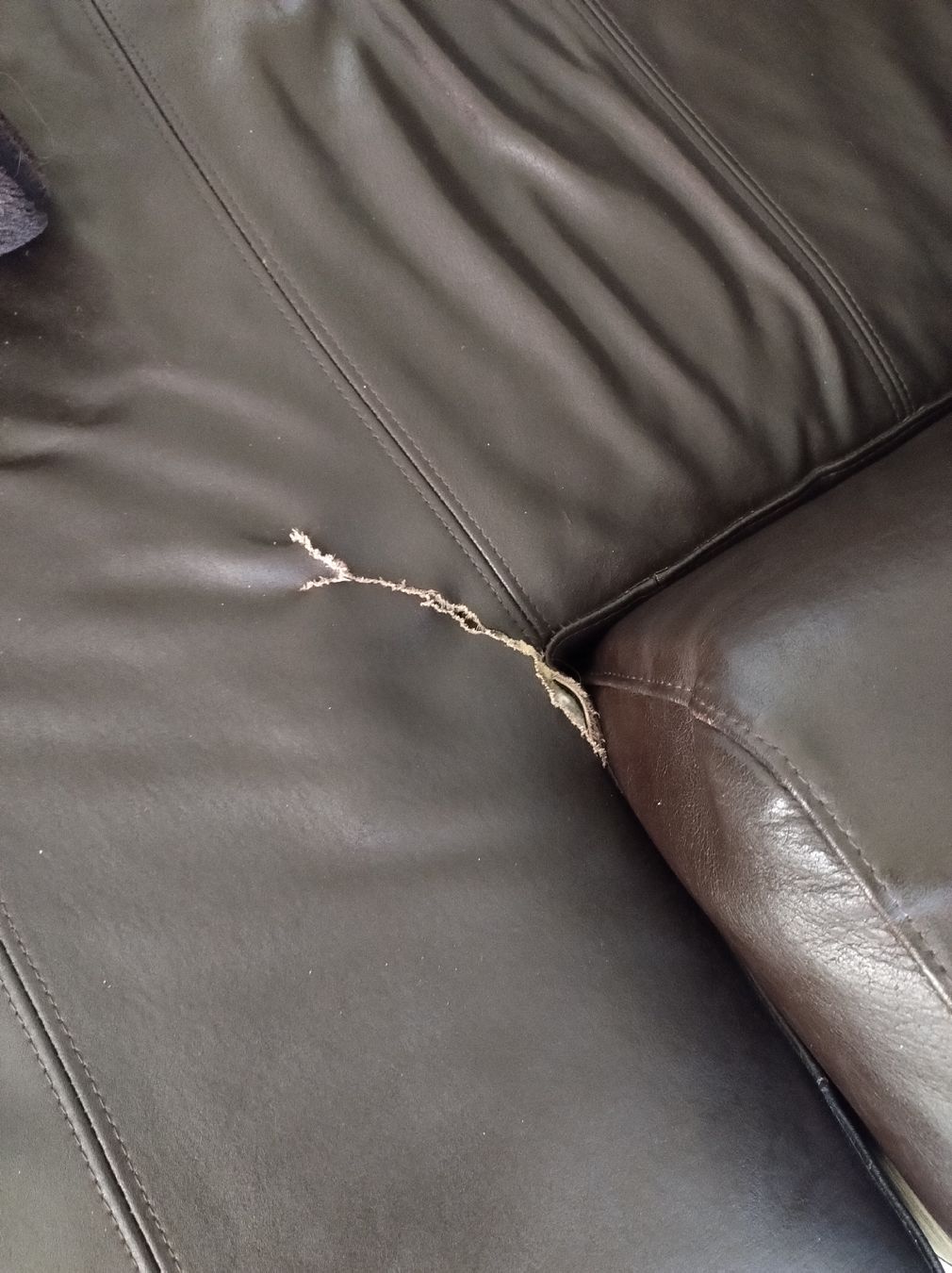 Sofas: Braunes Ledersofa – Gebraucht aus Oberbipp von Aerdna1979 6