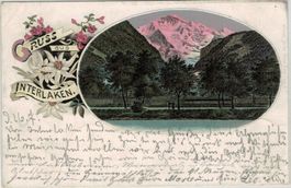 BE 120 Litho Interlaken Edelweiss 1897 nach Maldeuten/Ostpr.