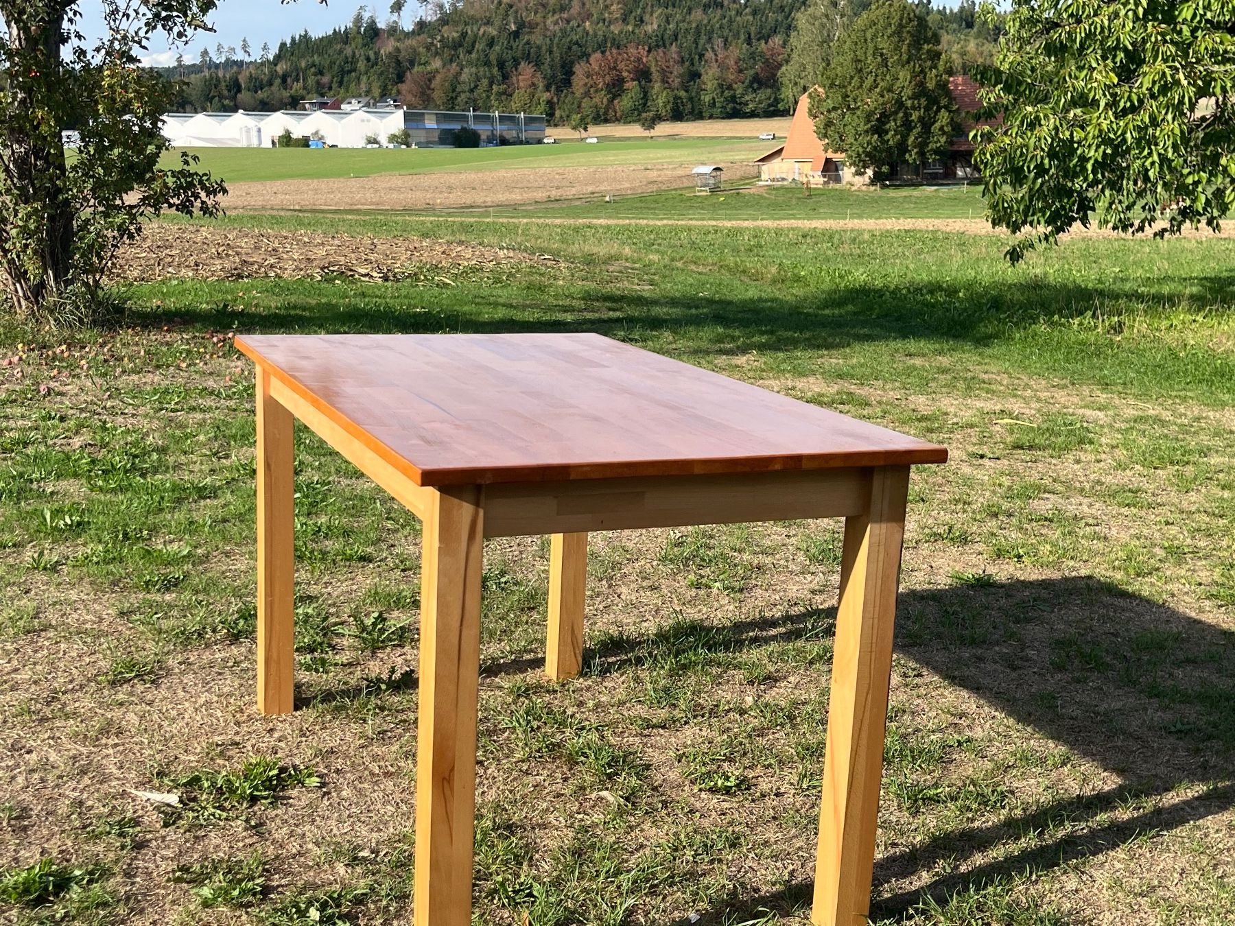 Tische: Tisch Massiv Hartholz – Gebraucht aus Allmendingen b. BE von juair 2