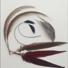 Profile image of Sillysyl