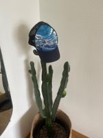 Trucker Cap Grösse One Size von Sun Day