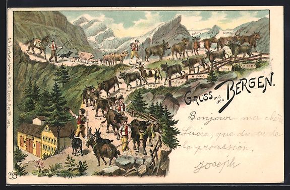 Cartoline postali: Litho Alpfahrt, Abtrieb von Rindern vers – Usato da Berlin venduto da bartko-reher