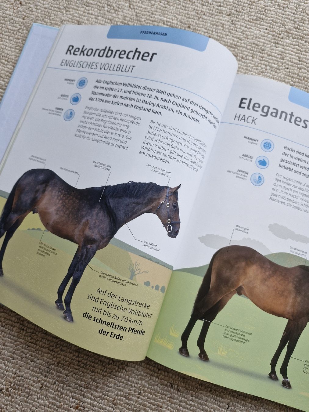 Libri: Pferde und Ponys – Usato da Luterbach venduto da martinagl83 2