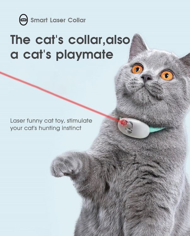 SUYUKU Katzen Baskenmütze Mit Halsband - Rotes Kostüm Für Haustiere