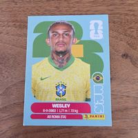Panini BRA8 Wesley 