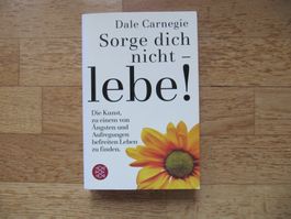 Sorge dich nicht - lebe! / Dale Carnegie Lebenshilfe