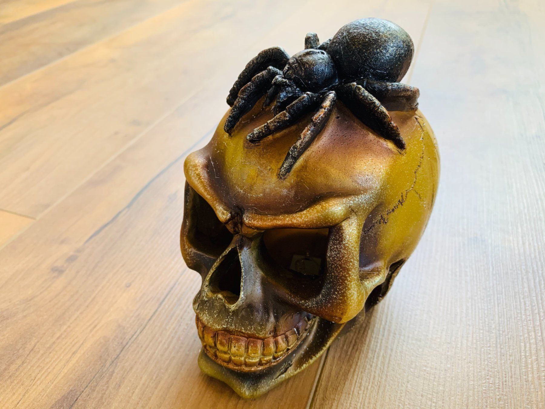 Sculture & Statue: Totenschädel Schädel SKULL Spider 14cm NEU – Nuovo e nell'imballaggio originale da Bergdietikon venduto da shopAgent