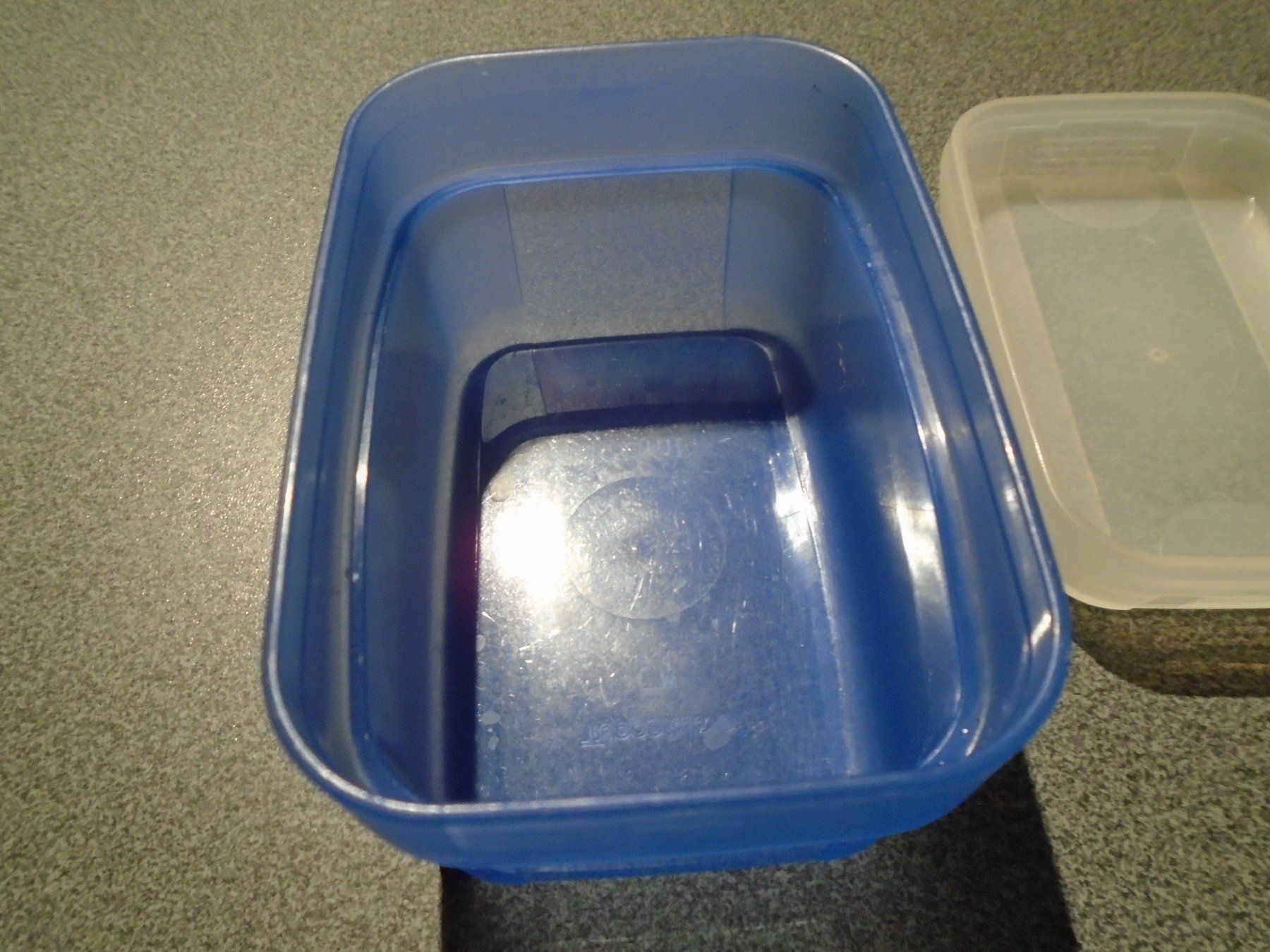 Tupperware Behälter & Ähnliches: Dose Tupperware, blau/weisser Deckel, 175 ml – Gebraucht aus Zürich von Motzkuh 1