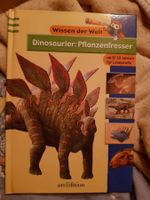 Buch Dinosaurier: Pflanzenfresser