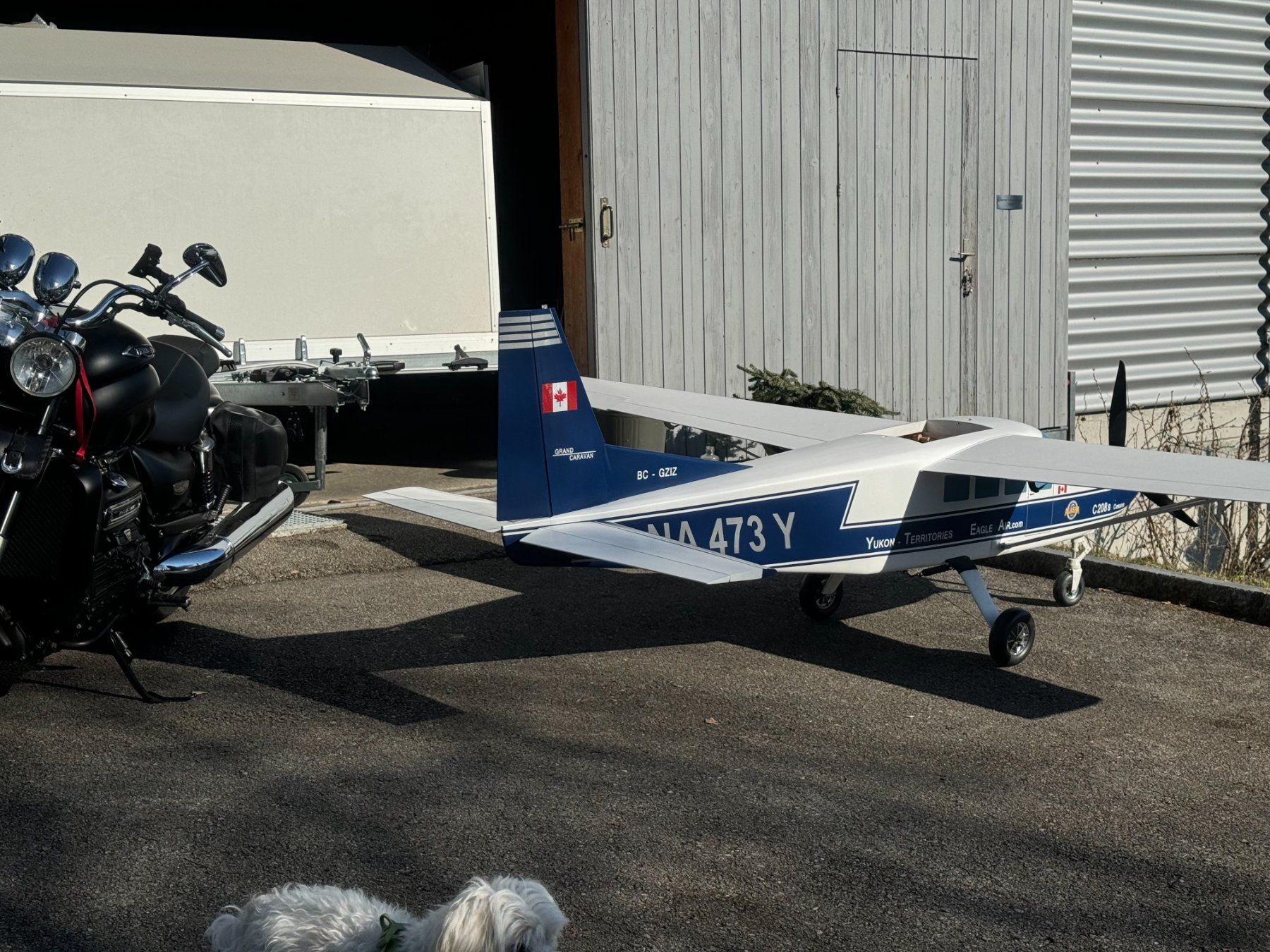 Cessna Modellismo RC: Cessna C 208 S Eigenbau – Usato da Wilen b. Wollerau venduto da Loonyacht 7