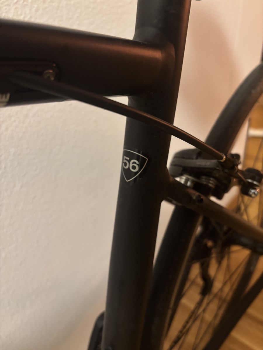 Specialized Velos: Specialized Allez Elite 56 neuwertig – Gebraucht aus Luzern von  4