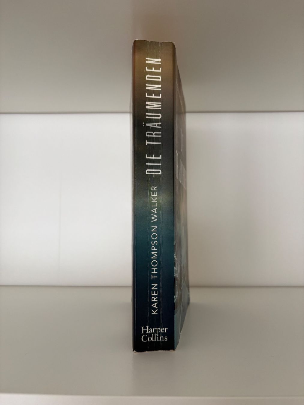 Libri: Die Träumenden - Karen Thompson Walker – Usato da Steffisburg venduto da elsa.catalina 2