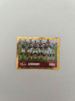 Panini FWC 18