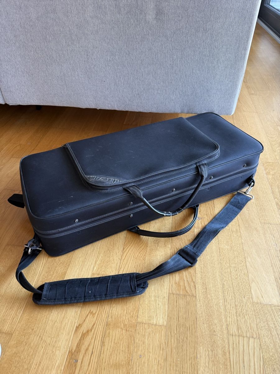 Strumenti musicali: Bratschen Koffer – Usato da Winterthur venduto da ivule2000 3