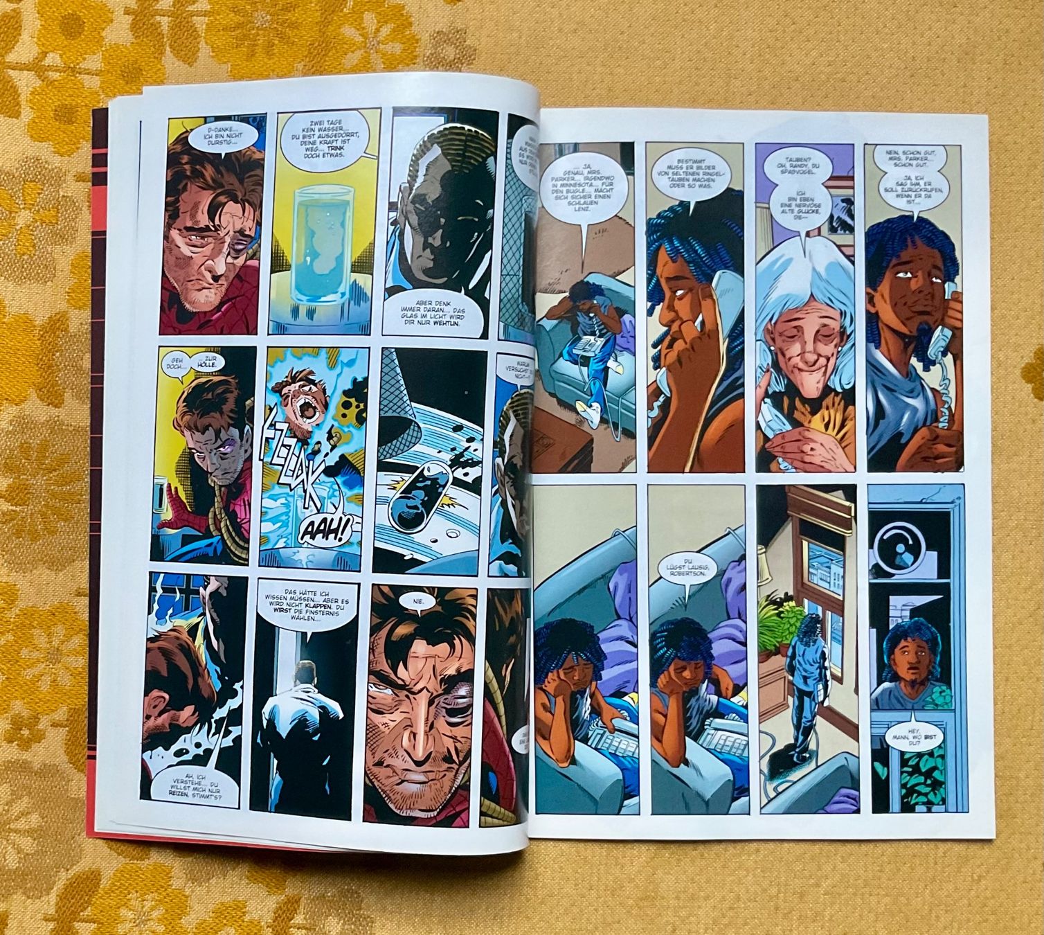 Comics: Peter Parker Spider-Man Heft Nr 15 von 2002 – Gebraucht aus Endingen von nathan05 5