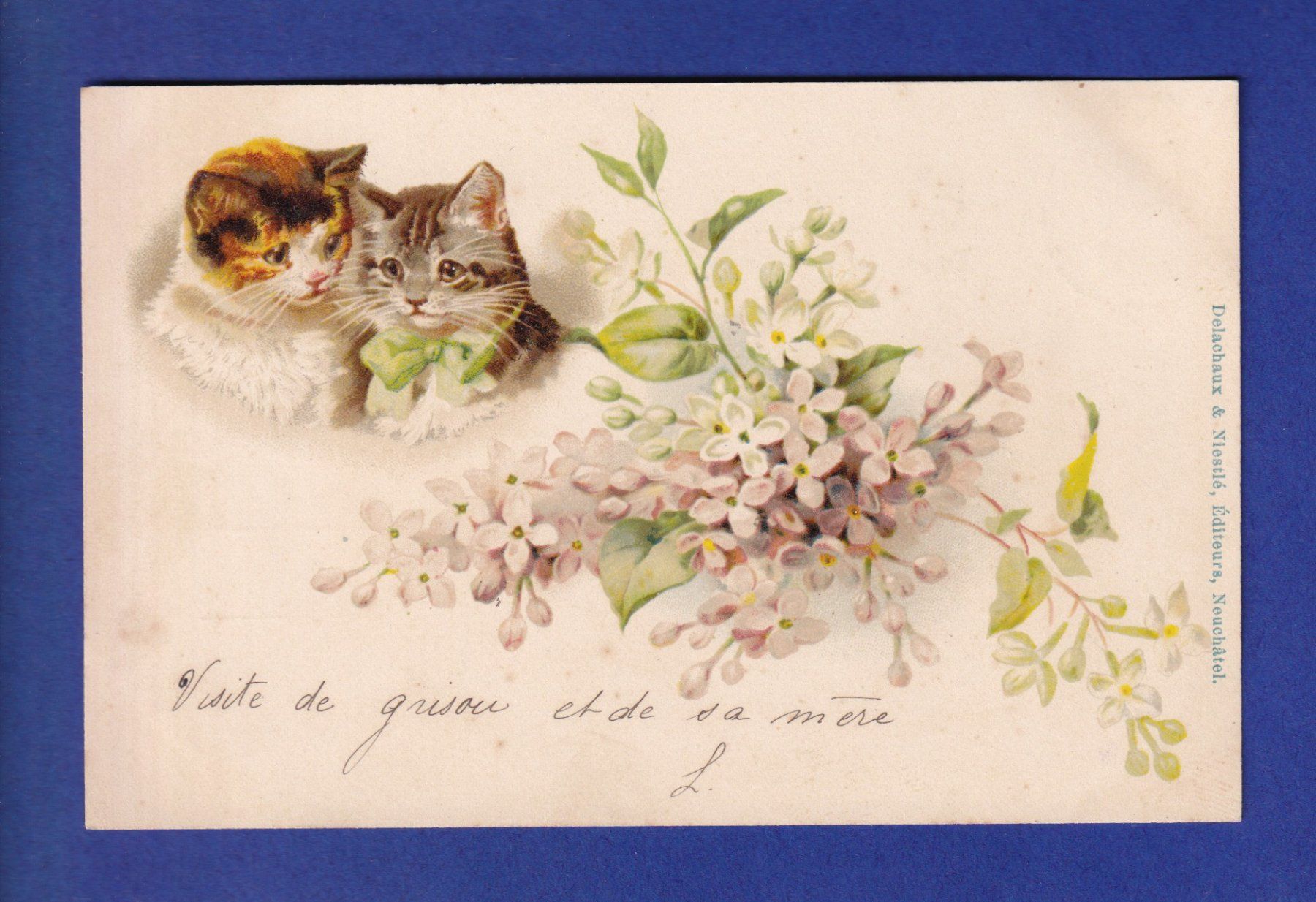 Cartoline postali: CHAT - Chats et fleurs – Usato da Pully venduto da nicecards-shop