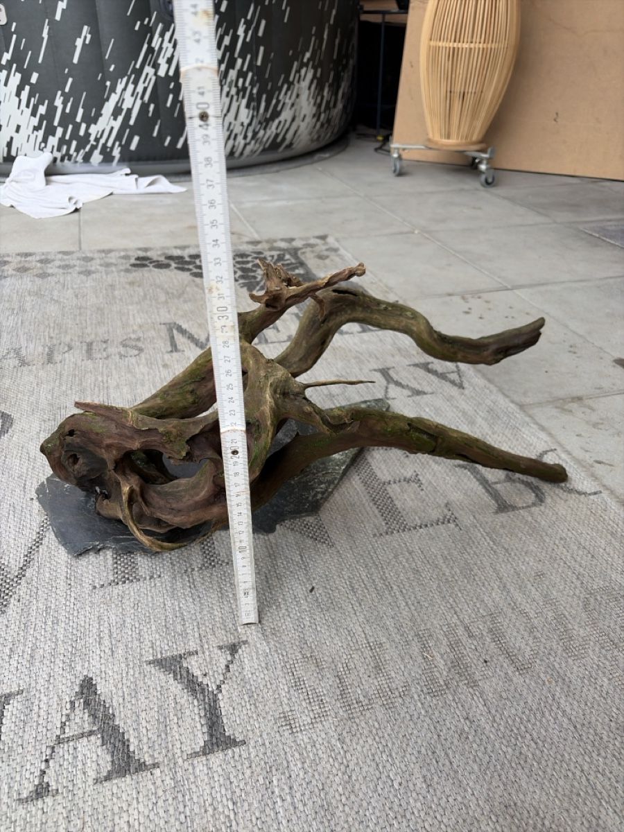Holzartikel: Aquarium Wurzel Gross – Gebraucht aus Reinach AG von joy_q2gl 1